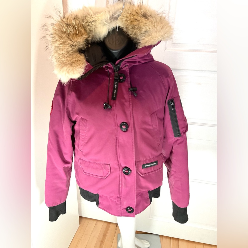 CANADA GOOSE BERRY BOMBER